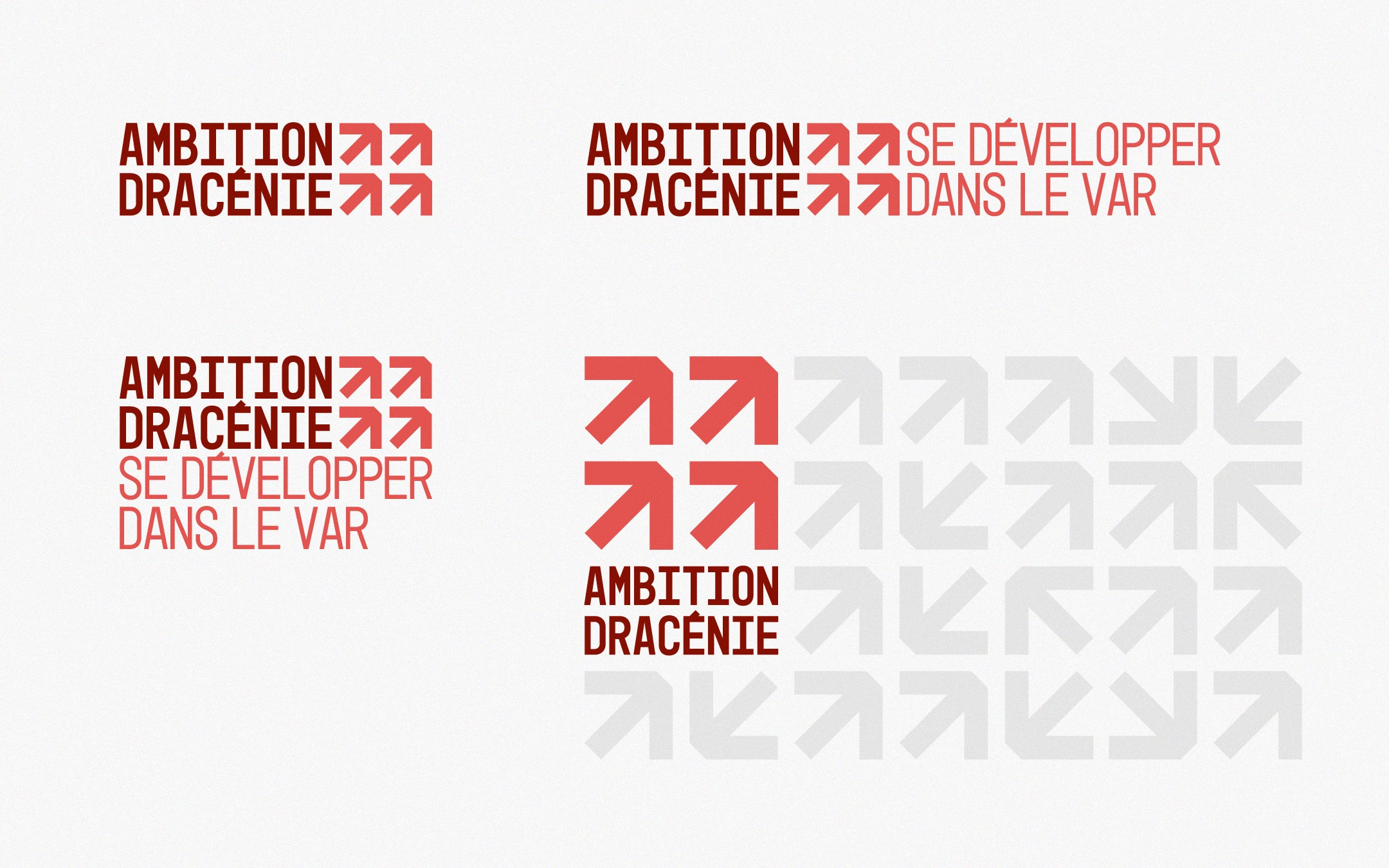 Ambition Dracénie