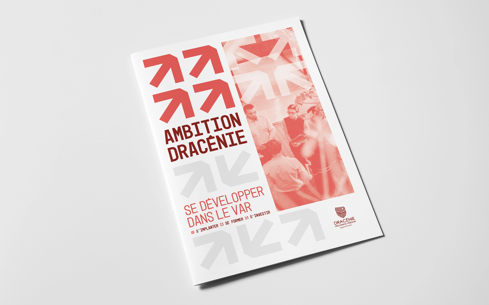 Ambition Dracénie