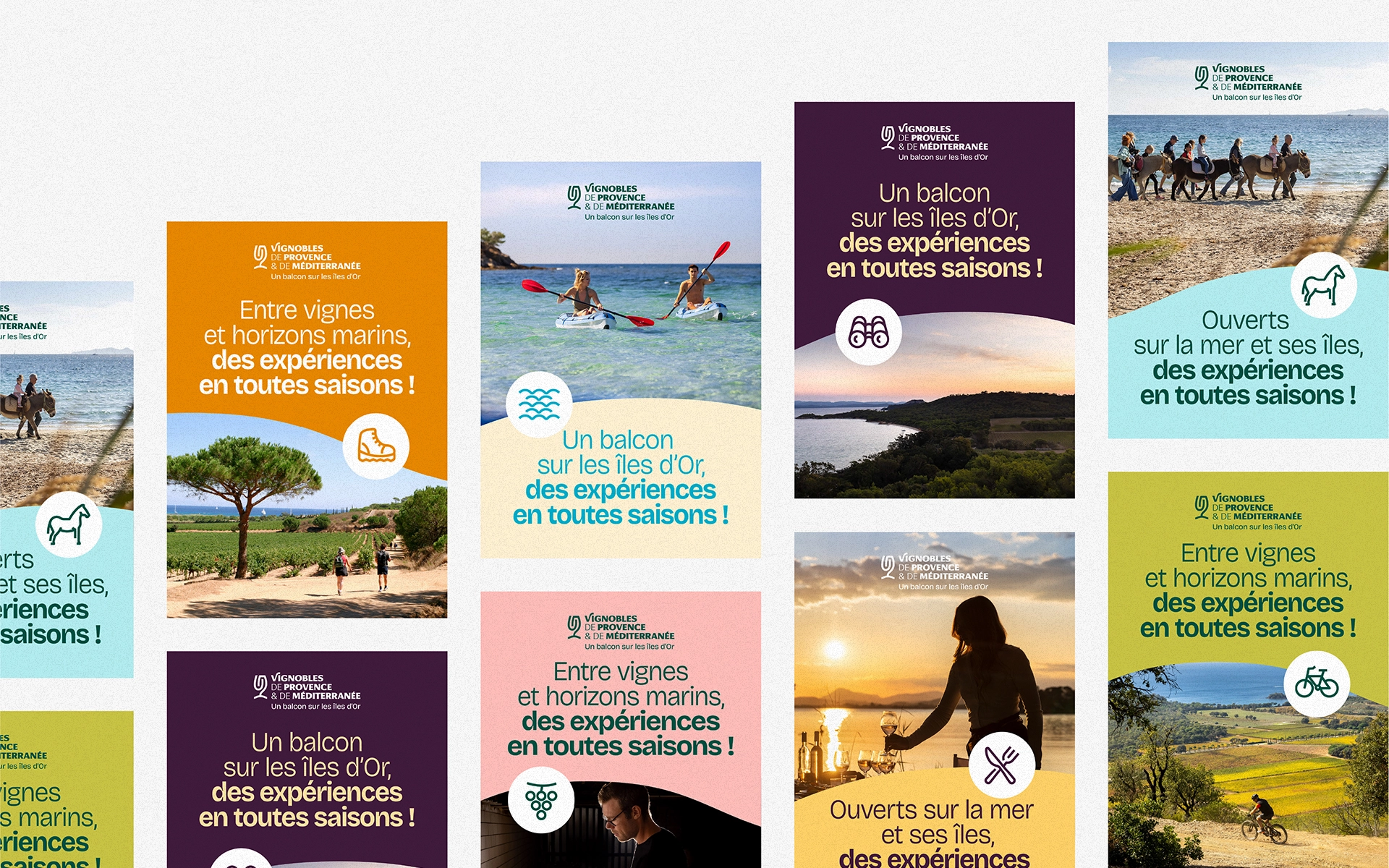 Vignoble de Provence & de Méditerranée